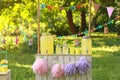 Decorated lemonade stand. Summer refreshing natural drink