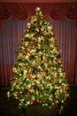 Decorated - lighted Christmas Tree Royalty Free Stock Photo