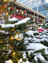 Decorated with lights and toys for Christmas, live Christmas trees under the snow