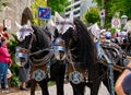 Decorated LÃÂ¶wenbrÃÂ¤u horse-drawn carriage at a parade in Garmisch-Partenkirchen, Garmisch-Partenkirchen, Germany - May 20. Royalty Free Stock Photo