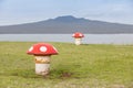 The decorated mushroom vents with blurred Rangitoto Island background, Auckland, New Zealand. Royalty Free Stock Photo
