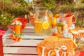 Decorated picnic with oranges and lemonade in the summer