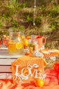 Decorated picnic with oranges and lemonade in the summer