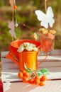 Decorated picnic with oranges and lemonade in the summer