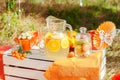 Decorated picnic with oranges and lemonade in the summer