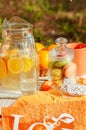 Decorated picnic with oranges and lemonade in the summer