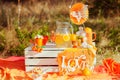 Decorated picnic with oranges and lemonade in the summer