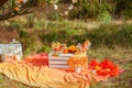 Decorated picnic with oranges and lemonade in the summer