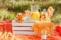 Decorated picnic with oranges and lemonade in the summer