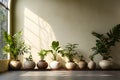 Decorated plants and flowers pots for bare cement and loft wall style. Home and hotel decoration idea design