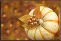 Decorated Pumpkin card and wallpaper