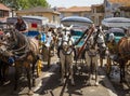 Decorated romantic horse carriages with two horses each on Princess Islands, Buyukada Island, Istanbul, Turkey. It is a popular w