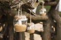 decorated romantic place for a date with jars full of candles hunging on tree. Copy Space Royalty Free Stock Photo