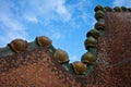 The decorated roof. Casa Batllo. Antonio Gaudi Royalty Free Stock Photo