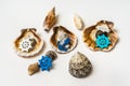 Decorated sea shells with marine wheel and anchor Royalty Free Stock Photo
