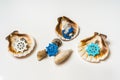 Decorated sea shells with marine wheel and anchor Royalty Free Stock Photo