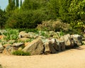 Decorated with stones flowerbed of colorful flowers against the background of green plantings Royalty Free Stock Photo