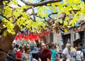 Decorated streets of Gracia district. Forest theme