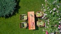 Decorated table with cheese, strawberry and fruits in beautiful summer rose garden, aerial top view of table food and drinks Royalty Free Stock Photo