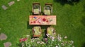 Decorated table with cheese, strawberry and fruits in beautiful summer rose garden, aerial top view of table food and drinks Royalty Free Stock Photo