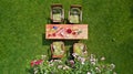 Decorated table with cheese, strawberry and fruits in beautiful summer rose garden, aerial top view of table food and drinks Royalty Free Stock Photo