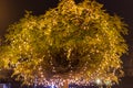 Decorated tree crown