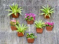 Decorated wall in vertical garden Royalty Free Stock Photo