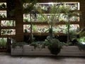 Decorated wall of vertical garden at a wedding hall Haifa Israel Royalty Free Stock Photo