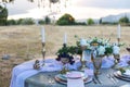 Decorated for wedding elegant dinner table Royalty Free Stock Photo