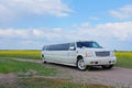 a decorated wedding jeep limousine Cadillac Escalade stands in a blooming field of rice against a clear blue sky in