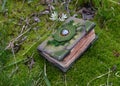 Decorated witch book of spells on the moss in the forest