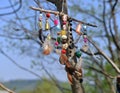 Decorated witchy dreamcatcher with little bottles and crystals