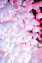 Decorating light white pink color hanging polystyrene plastic ball sphere curtain on outdoor stage setting. Abstract, Background,