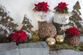 Decoration for advent and christmas season