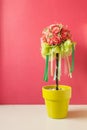 Decoration artificial flower and red wall,valentine background Royalty Free Stock Photo