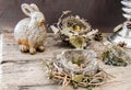 decoration with bird nests , dried flowers, and a funny,fatty,rabbit on textured old table.