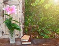 Lily flowers in a vase placed on a wooden window. Royalty Free Stock Photo