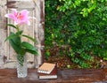 Lily flowers in a vase placed on a wooden window. Royalty Free Stock Photo