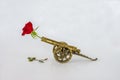 Decoration: brass cannon from the 1800 century with a rose, Royalty Free Stock Photo