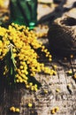 Decoration with bunch of mimosa, vintage scissors and green bottle