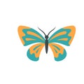 Decoration butterfly icon flat isolated vector