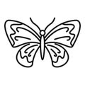 Decoration butterfly icon, outline style