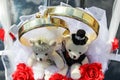 Decoration on car wedding rings and couple of teddy bears. Royalty Free Stock Photo