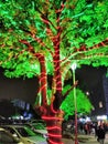 Decoration for the Christmas celebration in Chandigarh India