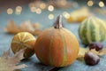 Decoration with colorful pumpkins and lights