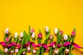 Decoration Of Colorful Tulip Spring Flowers With Easter Eggs, Yellow Background Royalty Free Stock Photo