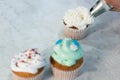 Decoration of cupcakes with confectionery cream. Shallow depth of field.