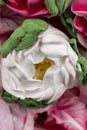 decoration decorative flowers made of edible marshmallows