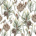 Watercolor pattern, pine twig ripe pine cone