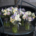 Decoration of dining table. bouquet of white narcissus in vase o Royalty Free Stock Photo